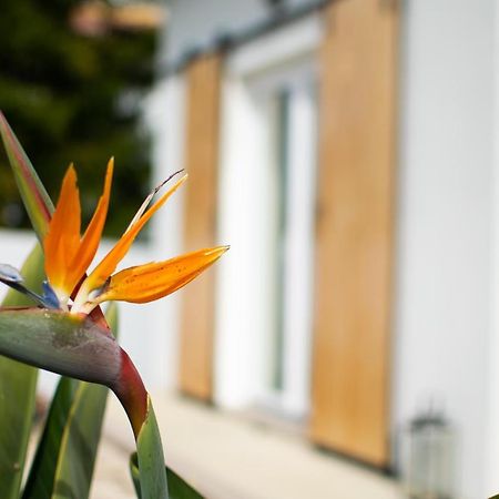 Casa-Simplicity A dos Negros Dış mekan fotoğraf